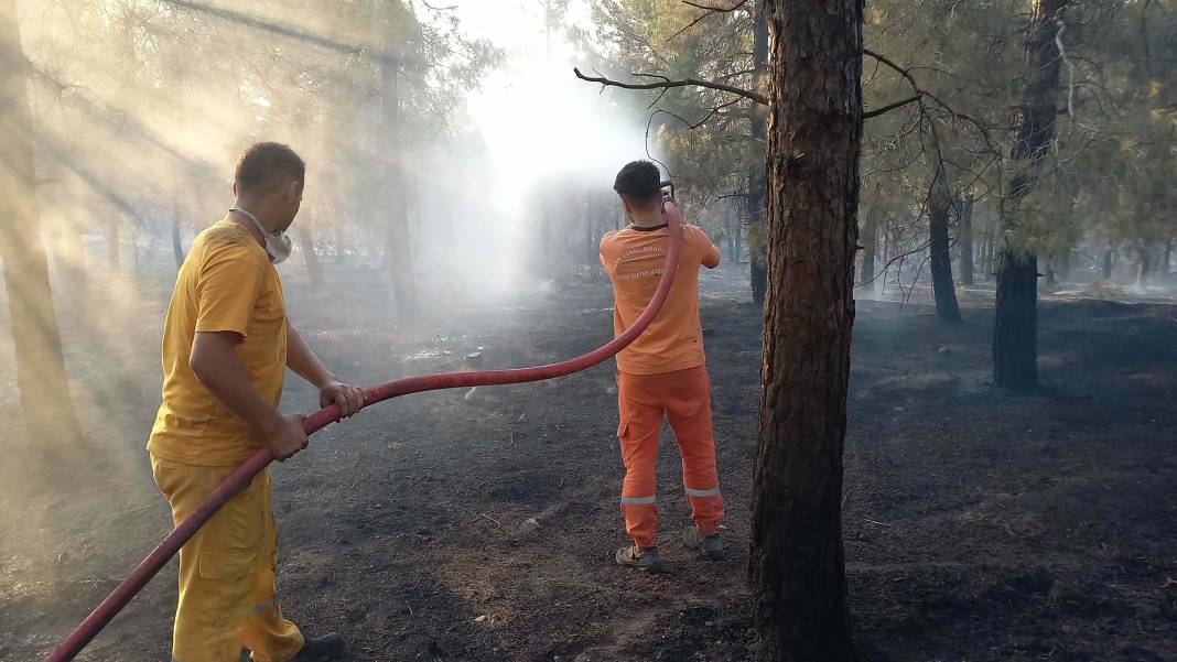 Balıkesir'deki orman yangını kontrol altına alındı 21